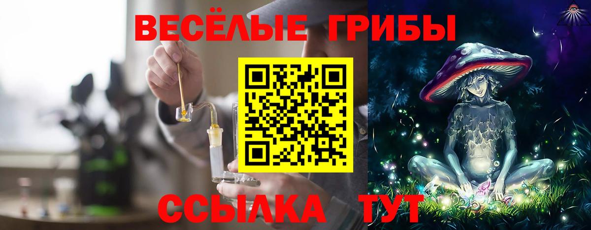 Псилоцибиновые грибы мухоморы Советская Гавань
